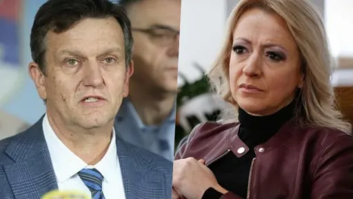 Nakon izbornog debakla, Pandurević kritizirala Blanušu zbog isključenja Petrovića iz SDS-a kao nestatutarno