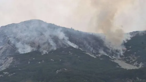 Požar na Čvrsnici se &scaron;iri podzemnim korijenskim žilama, vatrogasci nastavljaju borbu s vatrom na terenu