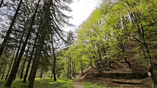 Bistričak kod Zenice: Izletište koje godinama propada, a ima ogroman turistički potencijal
