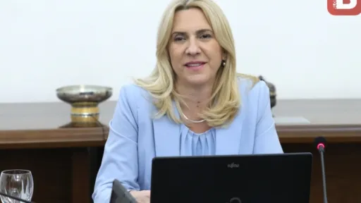 CVIJANOVIĆ OTKRILA PRAVAC DJELOVANJA: "U Predsjedništvu BiH neće biti trulih kompromisa, imat ću usaglašen stav s Filipović"