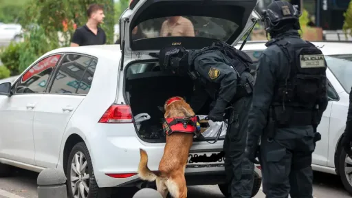 U Sarajevu zaplijenjeno 73 kilograma marihuane, uhap&scaron;en 34-godi&scaron;nji Nihad Bjelak