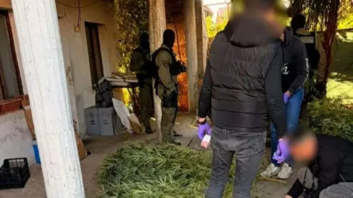 Federalna uprava policije izvršila pretrese u Čapljini, pronađena plantaža kanabisa i uhapšene dvije osobe