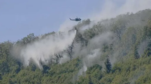 Oružane snage BiH angažovale helikopter za ga&scaron;enje požara u Gomili kod Cazina