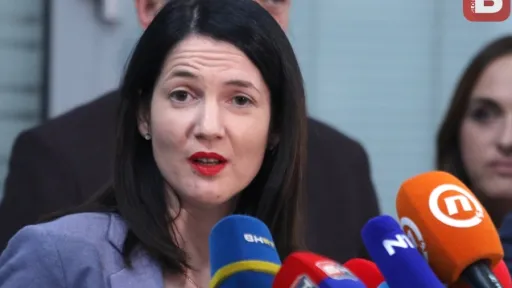 Jelena Trivić, predsjednica Narodnog fronta, najavila prisustvo sahrani Ratka Mladića u Beogradu 7. septembra