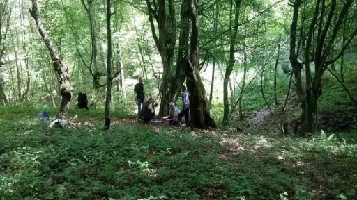 Posmrtni ostaci žrtava genocida pronađeni na Kameničkom brdu u općini Bratunac, potvrdio istražitelj Selimović