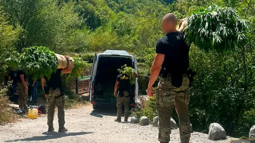 Policija u Drežnici otkrila 1.679 stabljika kanabisa i osumnjičila dvojicu mu&scaron;karaca