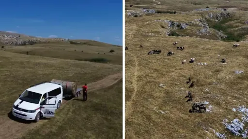 Volonteri GSS &bdquo;Krajina&ldquo; &ndash; Cazin organizovali akciju pomoći divljim konjima u Cincaru kod Livna