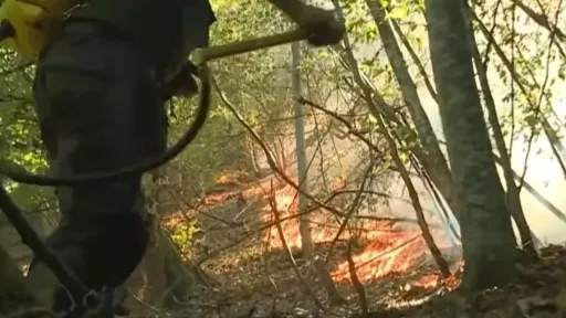 Požar u Konjicu aktivan deveti dan, vatrogasci i mje&scaron;tani traže dodatnu pomoć