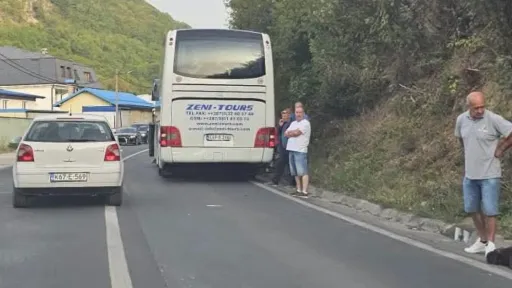 U nesreći kod Travnika medvjed istrčao pred autobus, vozač nije uspio izbjeći sudar