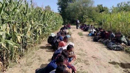 Na području Gradiške pronađeno oko 120 migranata uz pomoć MUP-a Hrvatske