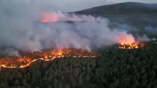 U Lozoyueli uhap&scaron;en mu&scaron;karac zbog sumnje na podmetanje požara koji zahvatio 700 hektara &scaron;ume kod Madrida
