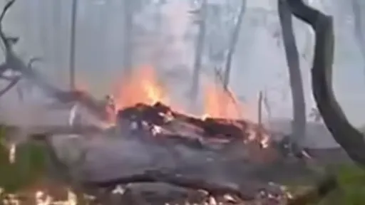 &Scaron;umski požar u Sasini kod Sanskog Mosta ugrožava crkvu i uni&scaron;tava voćnjake, struja isključena zbog opasnosti