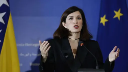 Ćudić: BiH treba odbaciti vanjske uticaje i usvojiti evropske standarde