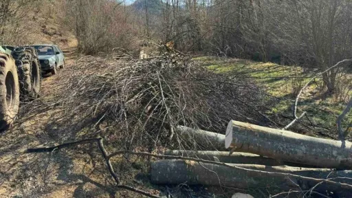 Radnik poginuo tokom sječe šume u blizini Sarajeva