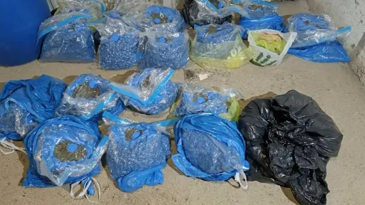 Policija u Doboju zaplijenila 17,7 kilograma marihuane i otkrila plantažu sa 93 stabljike konoplje