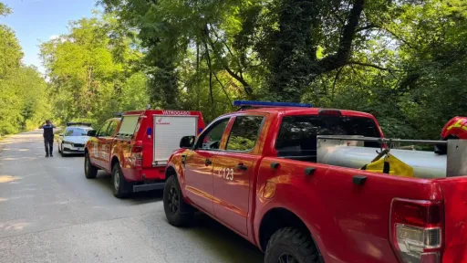Tragičan pad mu&scaron;karca iz Zavidovića sa drveta u Vini&scaron;tu, preminuo na obali rijeke Bosne